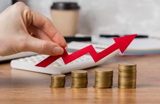 investimento dividendos juros