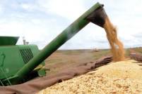 Neste ano, houve aumento de 10% no volume de recursos em relação à safra anterior (Foto: Arquivo / Agência Brasil)